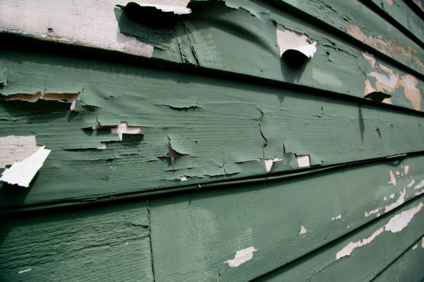 Best Siding Painting and Refinishing  in Arcola, IL