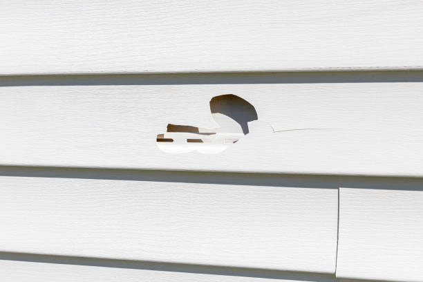 How To Choose The Right Materials for Your Siding Installation in 'Arcola, IL