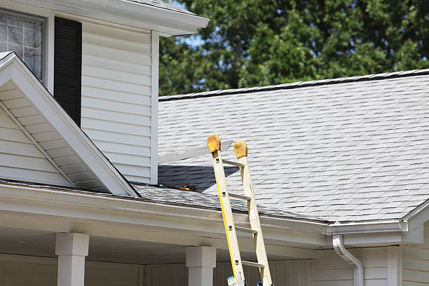 Best Stucco Siding  in Arcola, IL