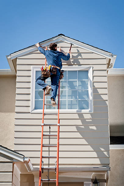 Best Historical Building Siding Restoration  in Arcola, IL