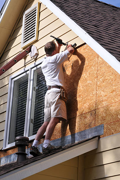 Best Siding Painting and Refinishing  in Arcola, IL