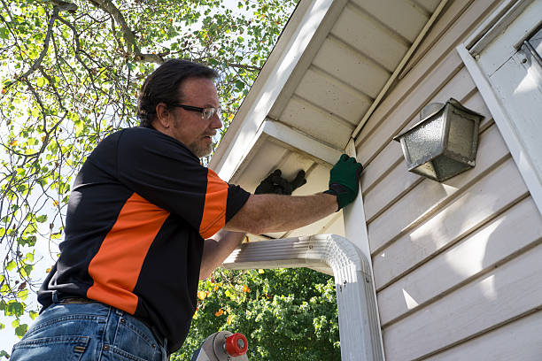 Reliable Arcola, IL Siding Services Solutions